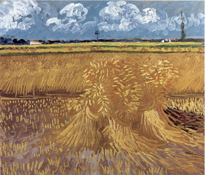 Wheat Field